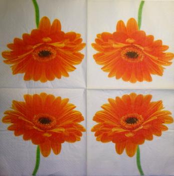 234 Daisies  - 3 ply - Paper Design