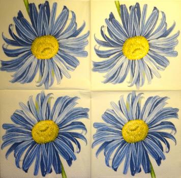 242 Daisies  - 3 ply -