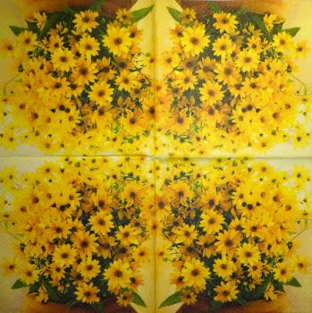244 Daisies  - 3 ply -