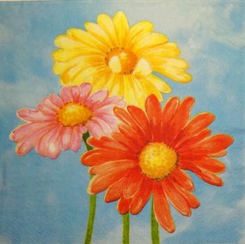 281 Daisies - 3-ply