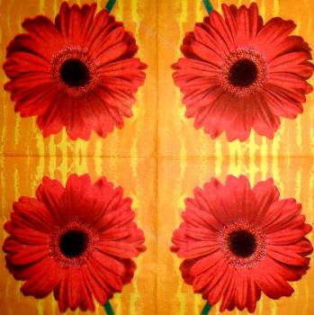 297 Daisies - 3-ply