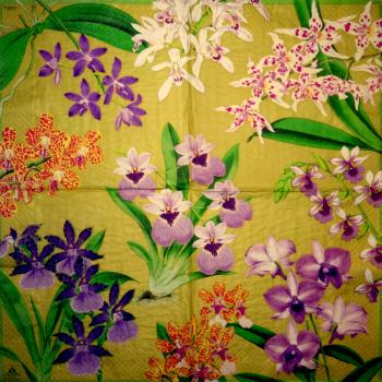 119 Orchideen - 3-lagig - Caspari