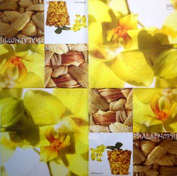 010 Orchids - 3-ply