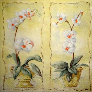 053 Orchideen - 3-lagig