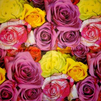 199 Roses - 3-ply - Atelier