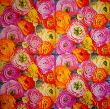 210 Rosen - 3-lagig - Made in Germany