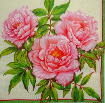 335 Rosen - 3-lagig (335) - Ambiente