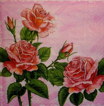 464 Roses - 3-ply