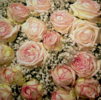 200 Blumen Sonstige - 3-lagig (grün)