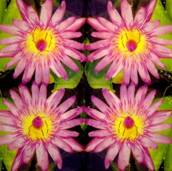 092 Flowers Others - 3 ply (beige) - Maki