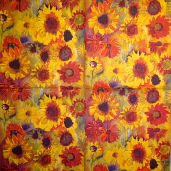 172 Sunflowers - 3-ply - ppd - Emma Blay