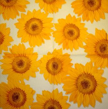 001 Sunflowers - 3 ply