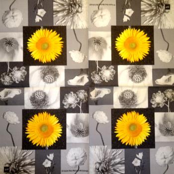 001 Sonnenblumen - 3 lagig