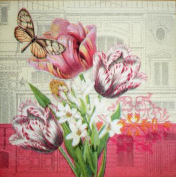 038 Tulpen (38) - CS