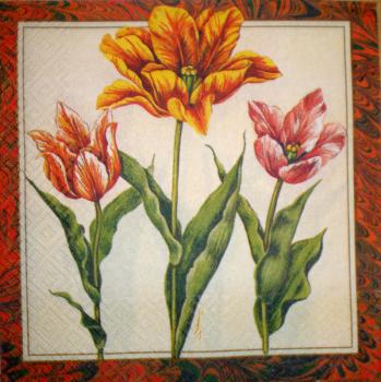052 Tulips - 3-ply
