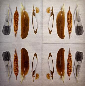 015 Feathers - 3-ply - Shutterstock