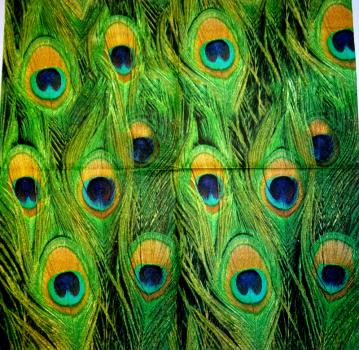 003 Feathers - 3-ply (3)