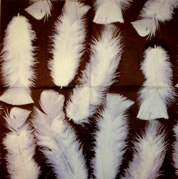 008 Feathers - 3-ply - Paper Design