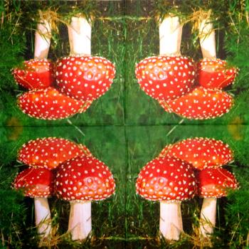 199 Herbst - 3-lagig - Nouveau