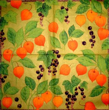 217 Autumn - 3-ply - Caspari