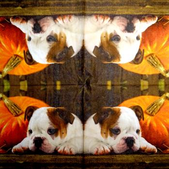 HUN-117 Dogs - 3-ply - Paper Design