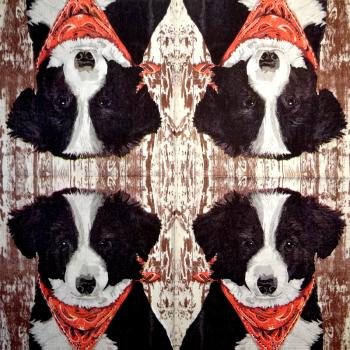 HUN-663 Hunde - 3-lagig - Two Can Art