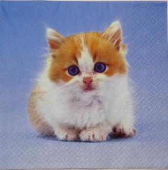 179 Cats - 3-ply - Jane Burton