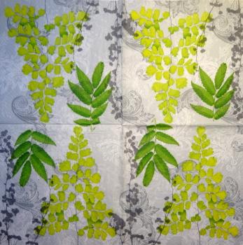 122 Plants - 3-ply