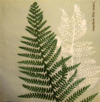 097 Plants - 3-ply