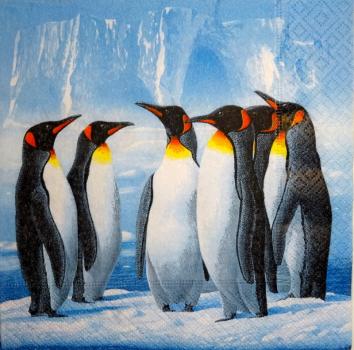 056 Penguins - 3-ply