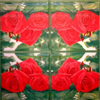 ROS-0724 Rosen - 3-lagig