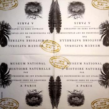 TX-413 Text - 3-lagig - Paula Scaletta - Museum National Paris