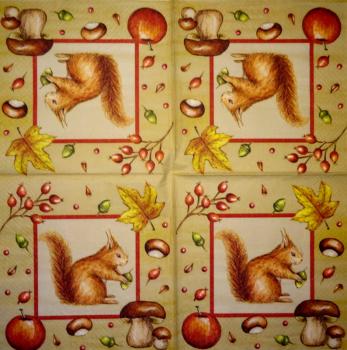 052 Eichhörnchen - 3-ply