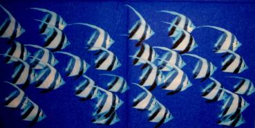 136 Fish - 3-ply