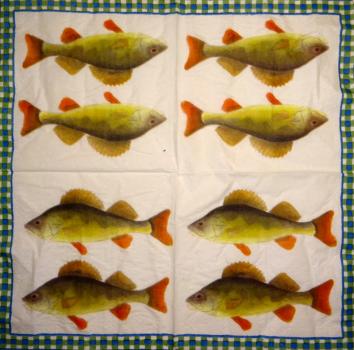 086 Fish - 3-ply - Design Inc. - CS