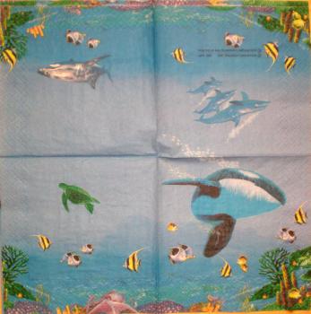 014 Dolphin / Whale / Shark - 2-ply - Hallmark - CS