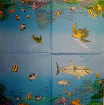 139 Dolphin / Whale / Shark - 3-ply - John Enright
