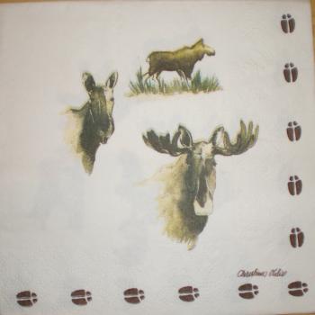 077 Hirsche - 3-lagig - Christina Ohliw - Schweden