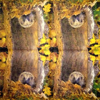 062 Animals Autumn - 3-ply - Atelier