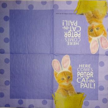 234 Cats - 3-ply - Hallmark