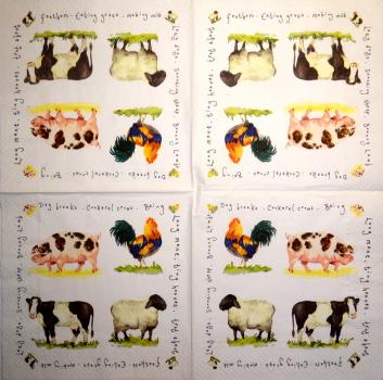 137 Cows - 3-ply - R2S