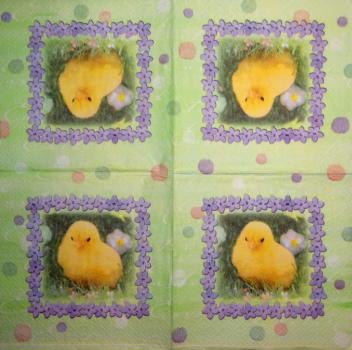 KÜK-028 Chicken - 3-ply - Amscan - CS