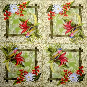 067 Parrot - 3-ply - Highland - Künstler - CS
