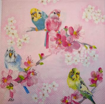 019 Parrot - 3-ply - Ihr