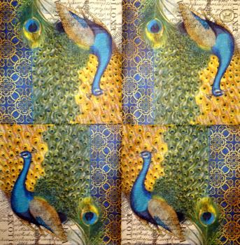 PFT-001 Peacock - 3-ply - Michel Design