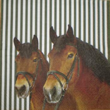 053 Horses (53)