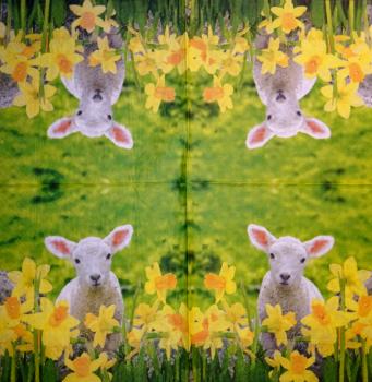 SZ-102 Sheep - 3-ply