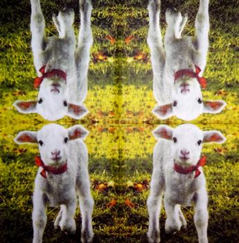 SZ-044 Sheep - 3-ply