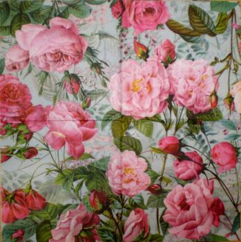 094 Rosen (94)
