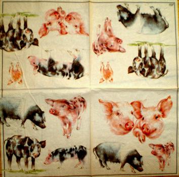 028 Pigs - 3-ply - Ihr